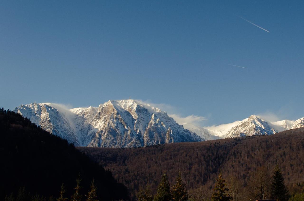 Skyline Villa Azuga Buitenkant foto